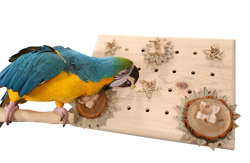 Woodland Parrot Advent Calendar Foraging Toy with Blue and Gold Macaw