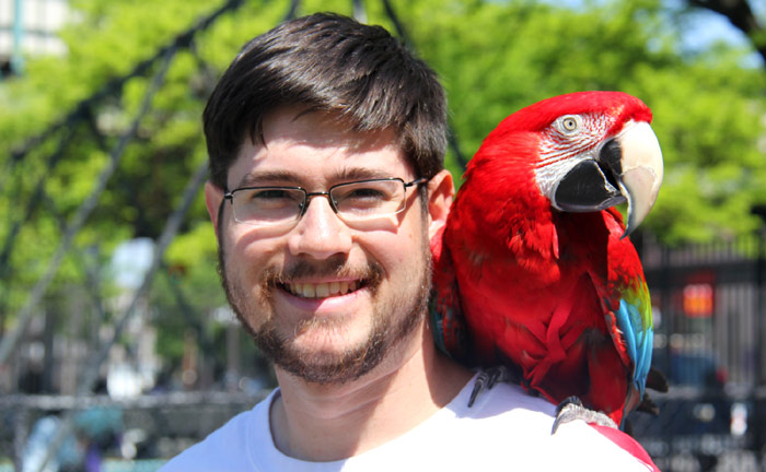 Macaw Wearing Aviator Harness