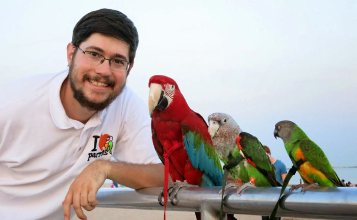 Harnessed Parrot Trio