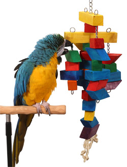 Blue and Gold Macaw Chewing Cubism XL Parrot Toy