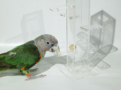 Foraging Tower Toy for Medium Parrots