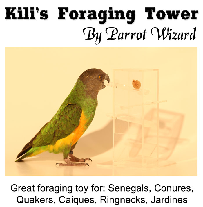 Small Foraging Tower