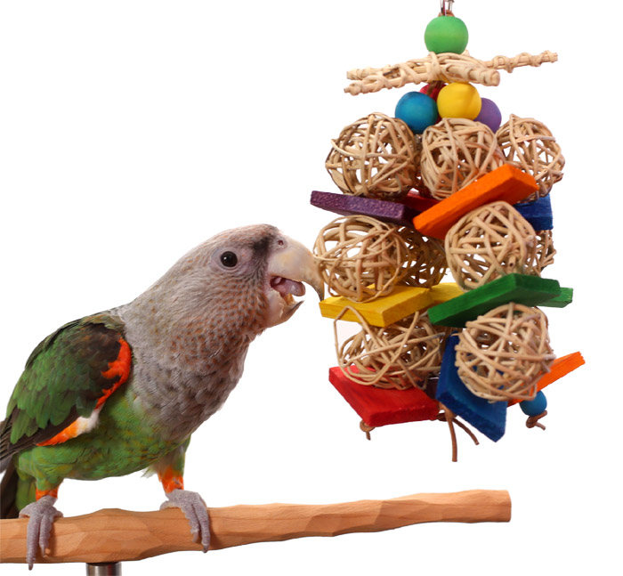 Gumballs Medium Parrot Wicker Balls Toy