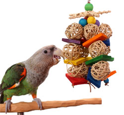 Gumballs Medium Parrot Wicker Balls Toy