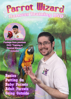 Parrot Wizard Harness Training DVD Front Cover