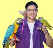 Parrot Wizard with Harnessed Parrots