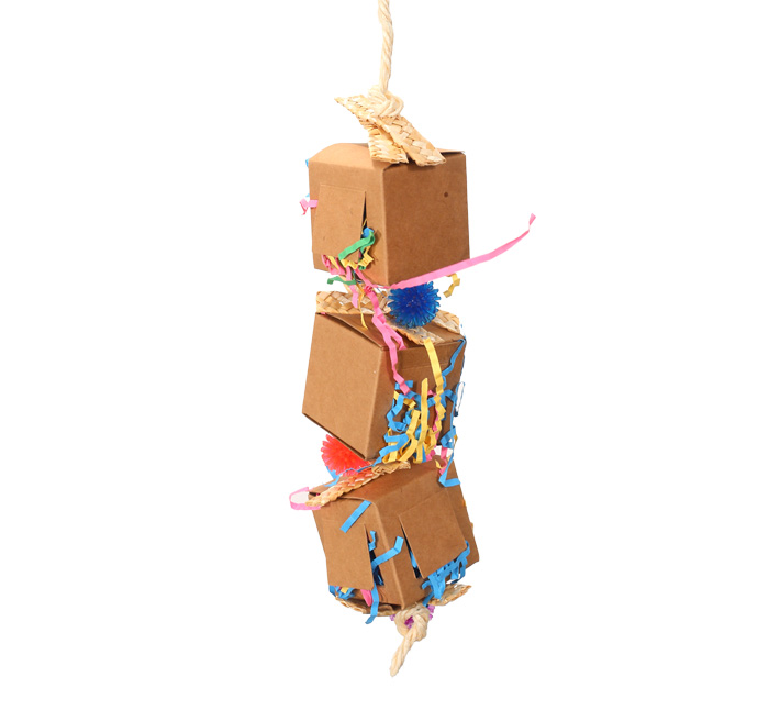 Little Delivery Cardboard Box Toy for Small Parrots and Parakeets