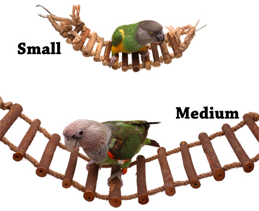 Natural Parrot Ladder Sizes