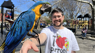 Taking Baby Macaw to the Park