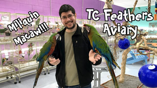 Visiting TC Feathers Aviary Bird Store in Chantilly VA