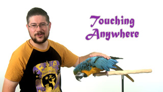 Train Parrot to Let You Touch Anywhere