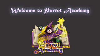 Welcome to Parrot Academy