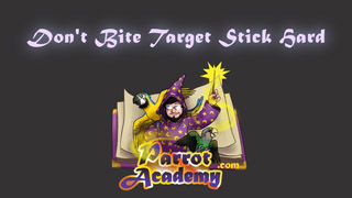 How to Teach Parrot Not to Bite Target Stick Hard