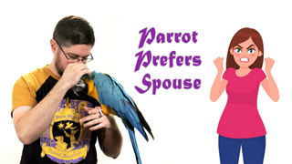 Parrot Prefers Spouse or Someone Else!