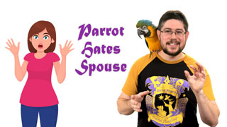 Parrot Hates Spouse or Family Members!