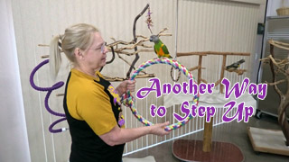 Another Way to Have Parrots Step Up