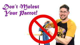 Don't Molest Your Parrot!