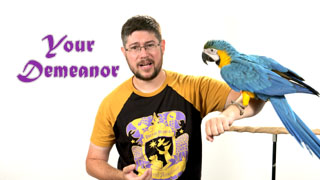 The Right Demeanor for Parrot Handling