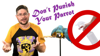 Don't Punish Your Parrot!