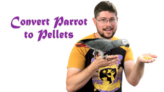 Converting a Parrot to Pellets