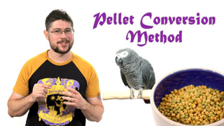 Parrot Pellet Conversion Method