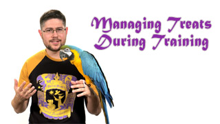 Managing Parrot Treats During Training