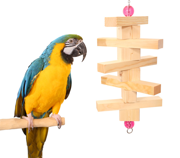 Parrot Bites Door Large Parrot Toy with Blue and Gold Macaw