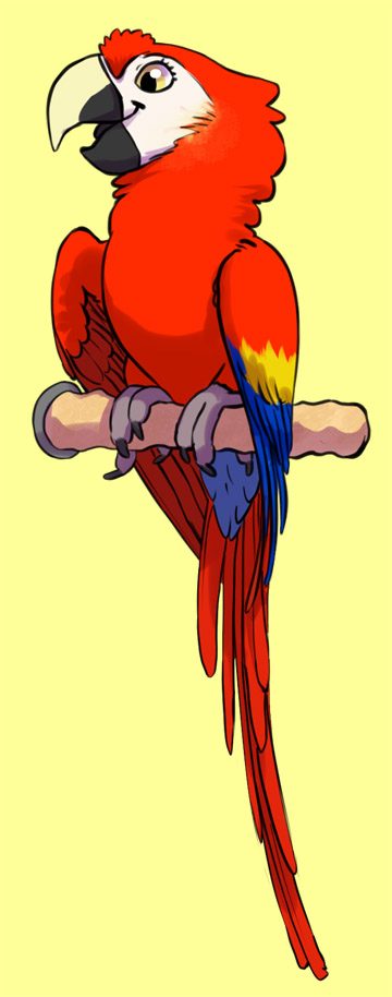 Macaw on NU Perch