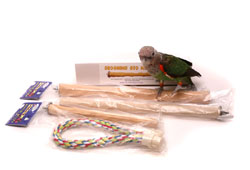 Medium Cage Perch Bundle from Parrot Wizard with Cape Parrot