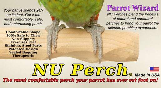 NU Perches for Parrots