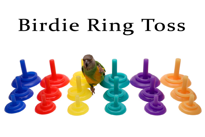 Birdie Ring Toss Trick