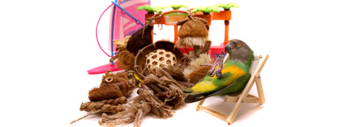 Seaside Parrot Toys