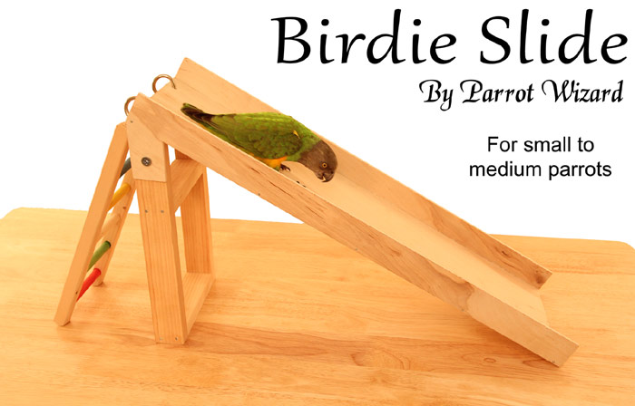 Birdy Slide