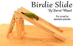 Birdy Slide