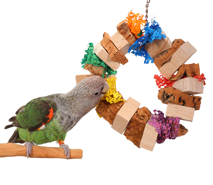 Cape Parrot chewing Softwood Wreath Parrot Toy