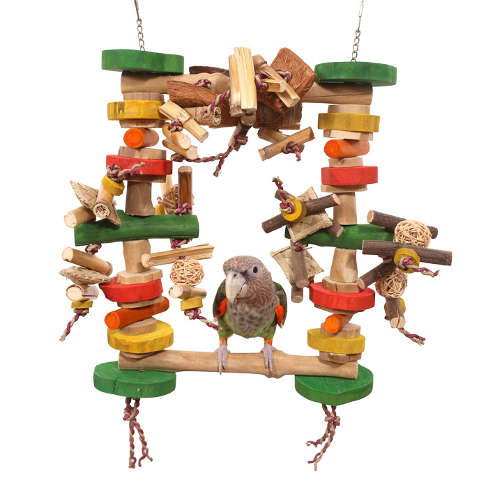 Cape Parrot on Medium Swing N Play