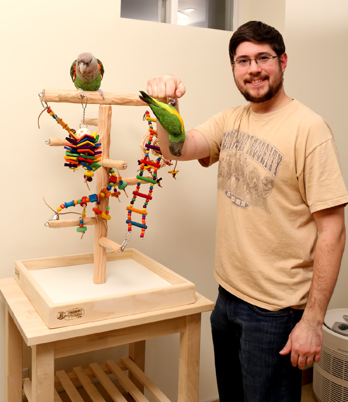 Size of Tabletop Parrot Climbing Tree