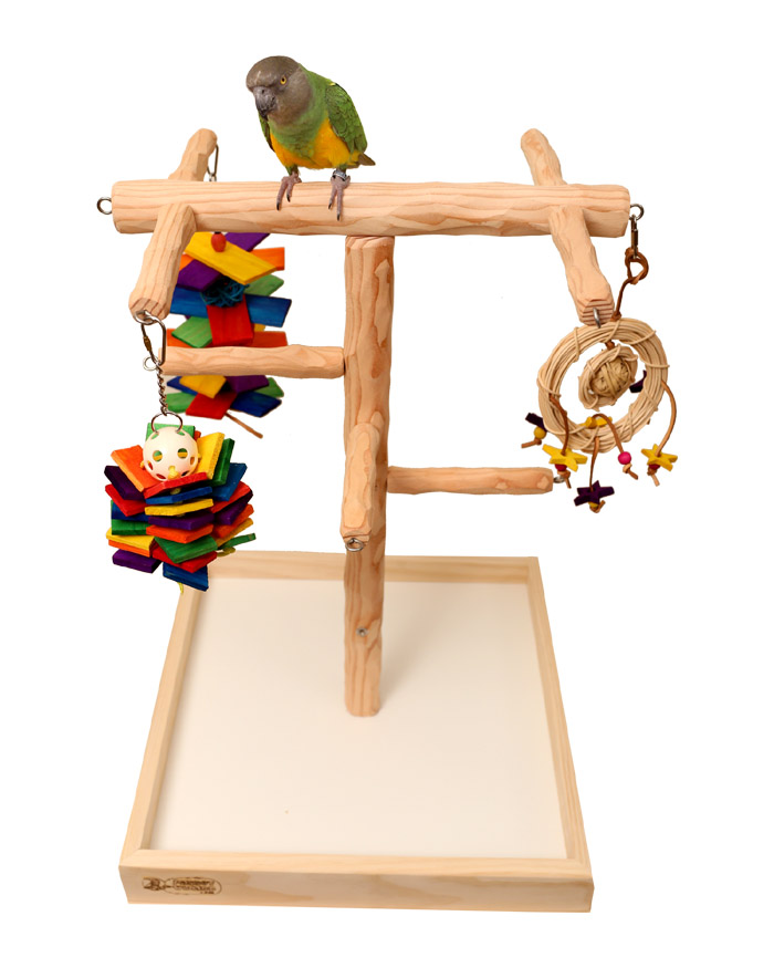 Tabletop Parrot Climbing Tree