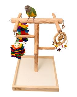 Tabletop Parrot Climbing Tree