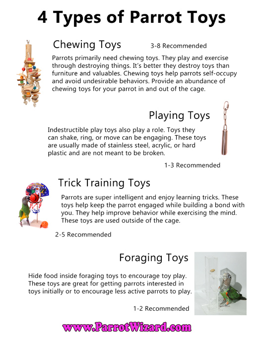 Parrot Toy Types