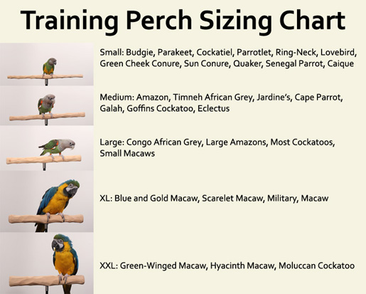 Training Perch Sizes