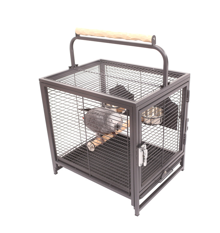 Travel Cage with African Grey Parrot on NU Perch