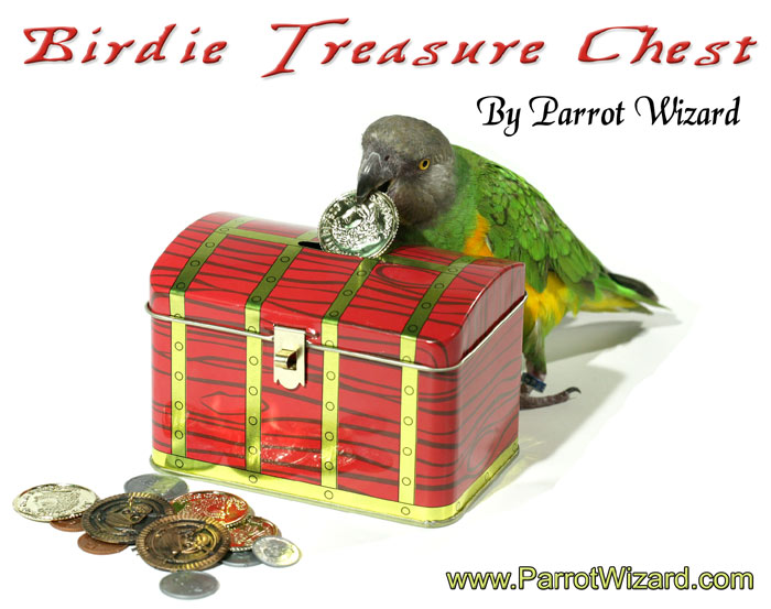 Parrot Treasure Chest