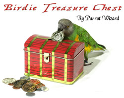 Parrot Treasure Chest