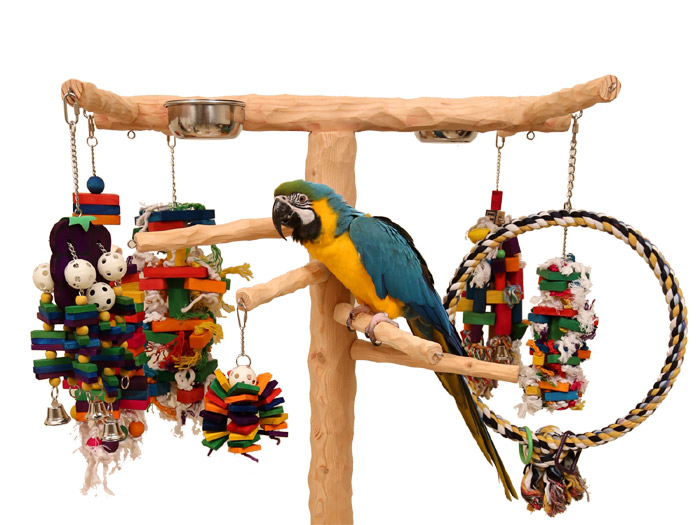 Macaw Climbing on NU Perch Tree