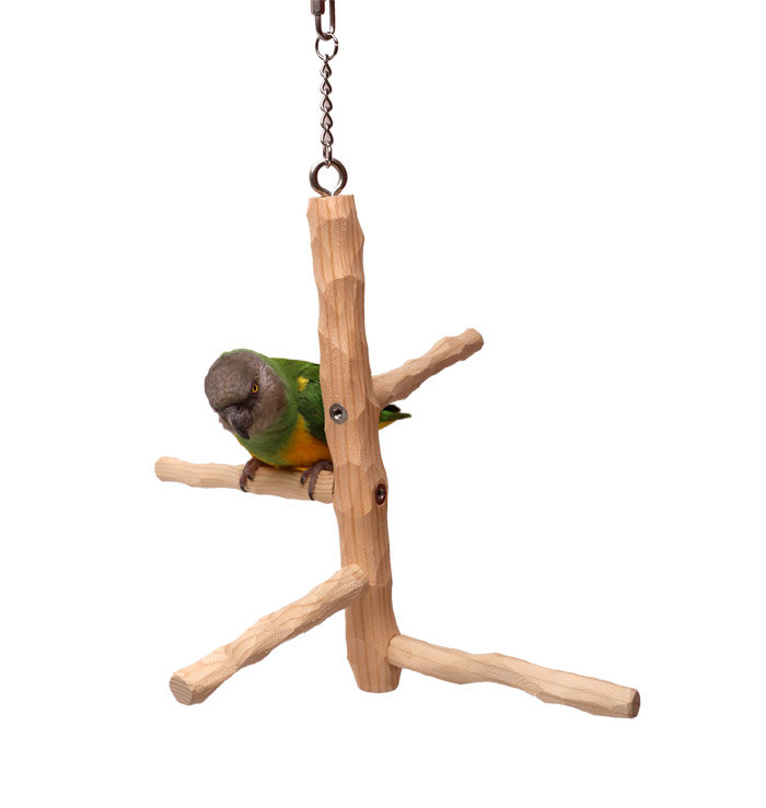 NU Perch Tree Swing for Cage - Size Small with Senegal Parrot