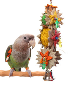 Tropical Corsage Medium Parrot Toy with Cape Parrot