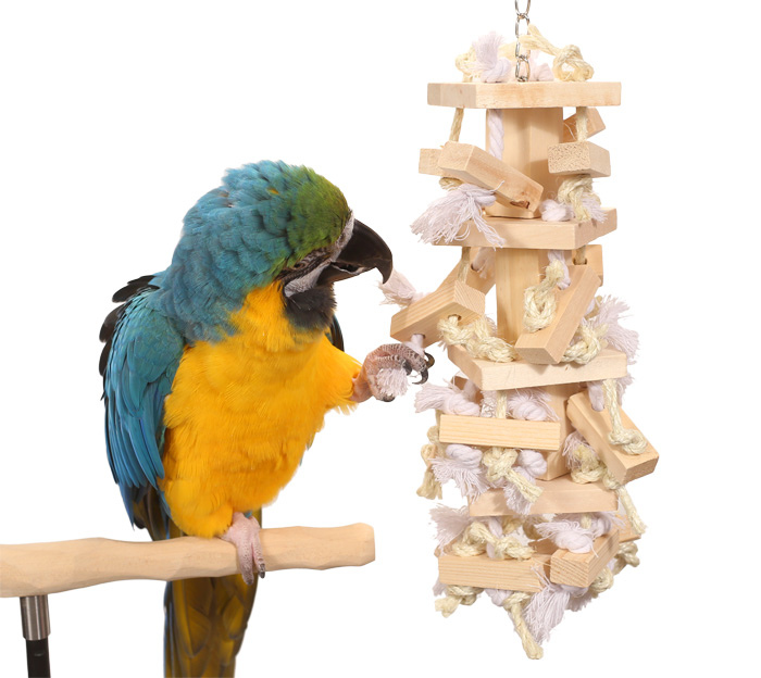 Blue and Gold Macaw playing with Natural Stack Large Parrot Toy