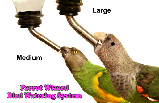 Parrot Watering System Sizes