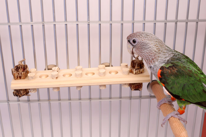 Woodberry Medium Bolt On Parrot Toy